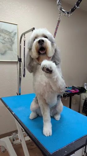 Nancy's Pet Parlor - Image 1