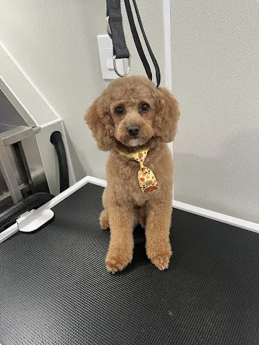 Fresh Pup Cuts - Image 1