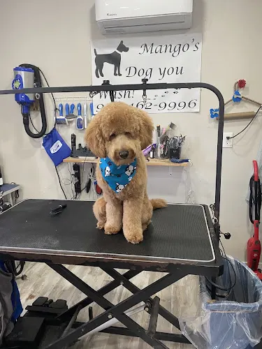 Mango's Dog you Wash and Grooming Services LLC in Dover, NJ