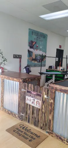 Holistic pet spa - Image 1