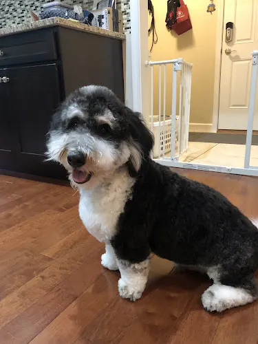 Happy Tails Grooming Salon - Image 1