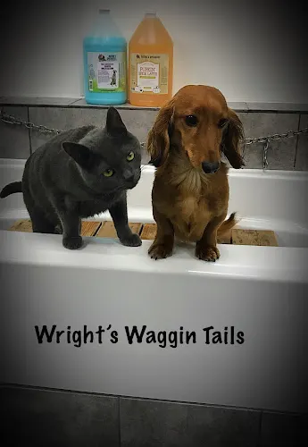 Wright's Waggin Tails - Image 1