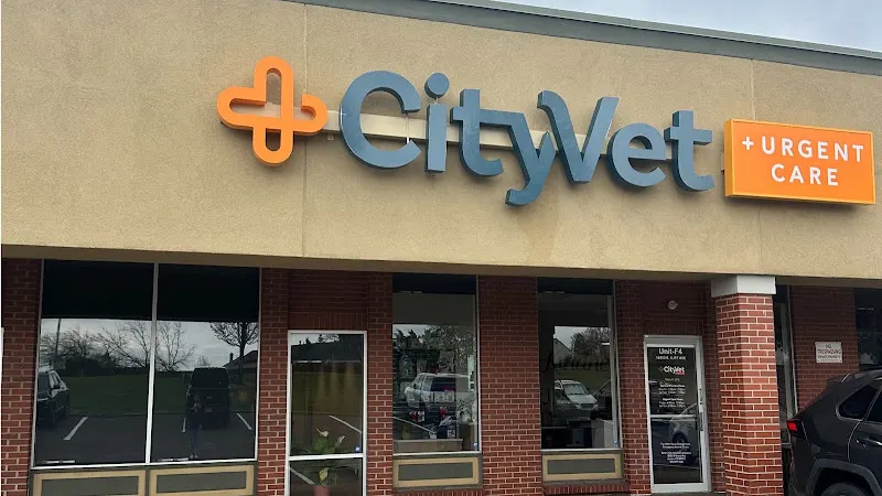 CityVet | Aurora Veterinary Clinic & Urgent Care - Image 1