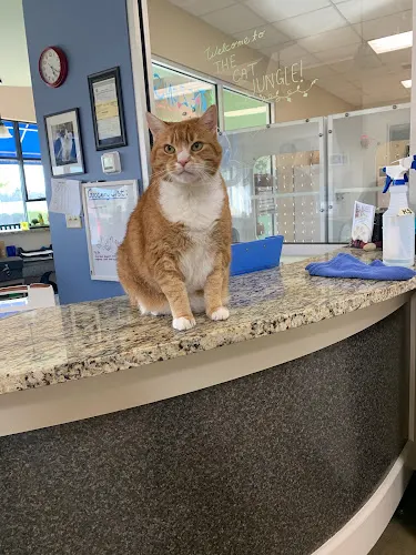 Meows And Growls Pet Resort At White Rose - Image 1