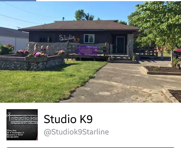 Studio K9 Grooming Salon in Alexandria, IN