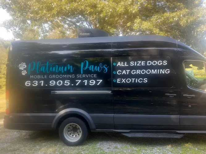 Platinum Paws in Laurel, NY