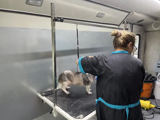 LOVING SPAW MOBILE GROOMING - Image 1