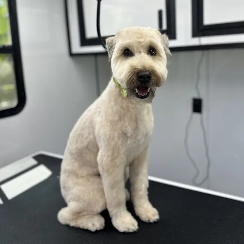 Peachy Pups Mobile Styling - Image 1