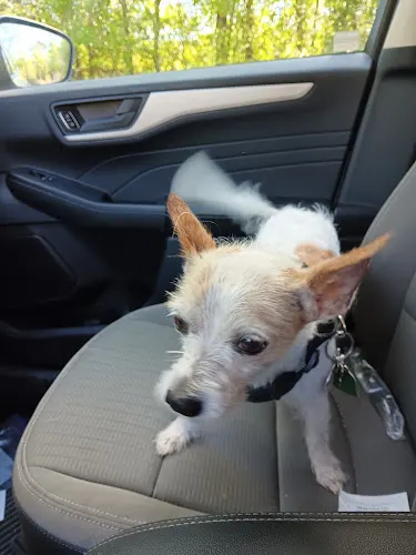 Day's Pet Grooming - Image 1