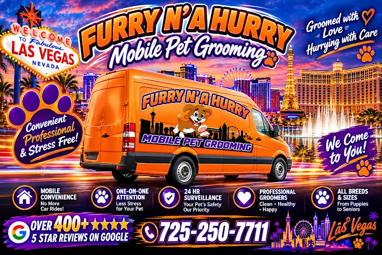 Furry N'a Hurry Mobile Pet Grooming - Image 1