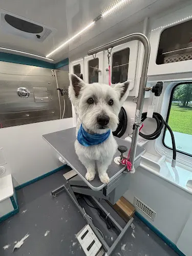 Surfs Pup Mobile Pawlor - Image 1