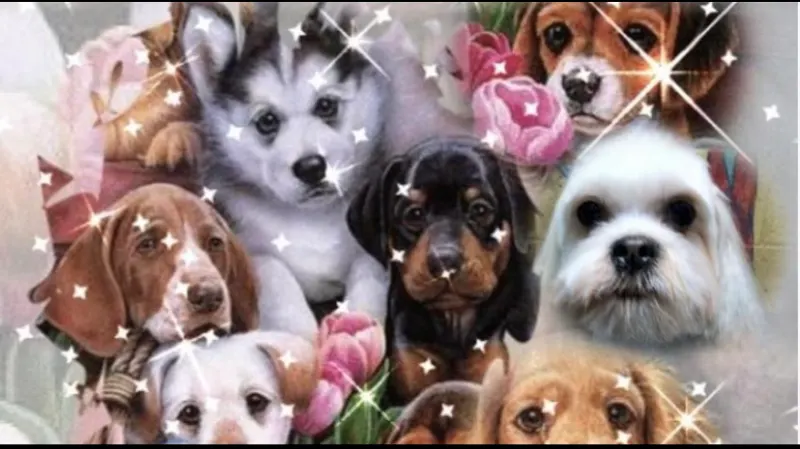 Paws-itively Purr-fect Pet Salon LLC - Image 1