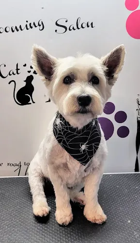 Fluffy Friends Mobile Pet Grooming - Image 1
