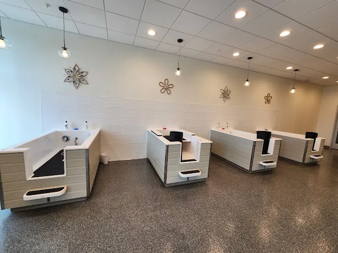 Washes & Barks Canine Wellness Studio- Montgomery - Image 1