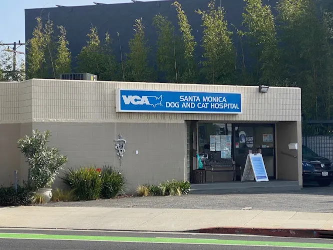 VCA Santa Monica Dog and Cat Hospital in Santa Monica, CA