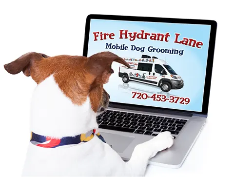 Fire Hydrant Lane Mobile Dog Grooming - Image 1