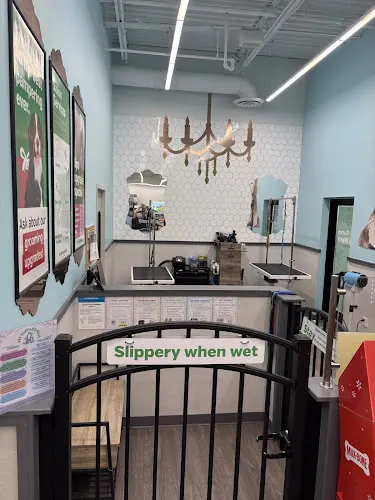 Pet Supplies Plus Willoughby Grooming in Willoughby, OH