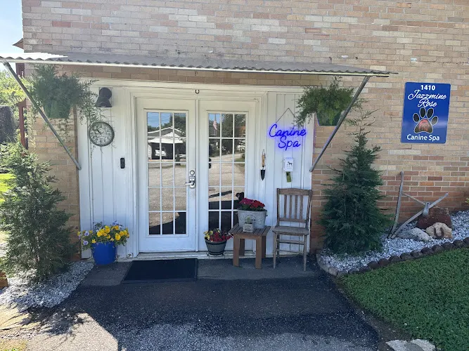 Jazzmine Rose Canine Spa in Travelers Rest, SC