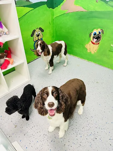 Sydnee's Pet Grooming - Mission Viejo - Image 1
