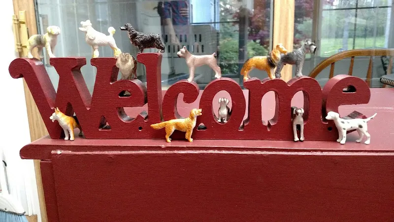 Untangled Pet Styling Salon - Image 1