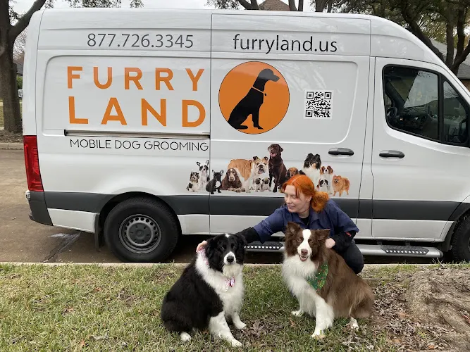 Furry Land Dallas Fort Worth - Image 1