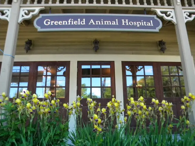Greenfield Animal Hospital - Image 1