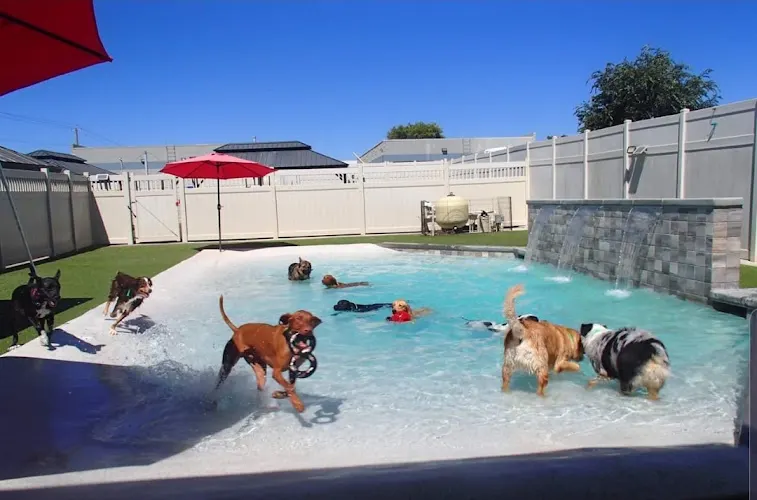 The Local Bark in Rancho Cordova, CA