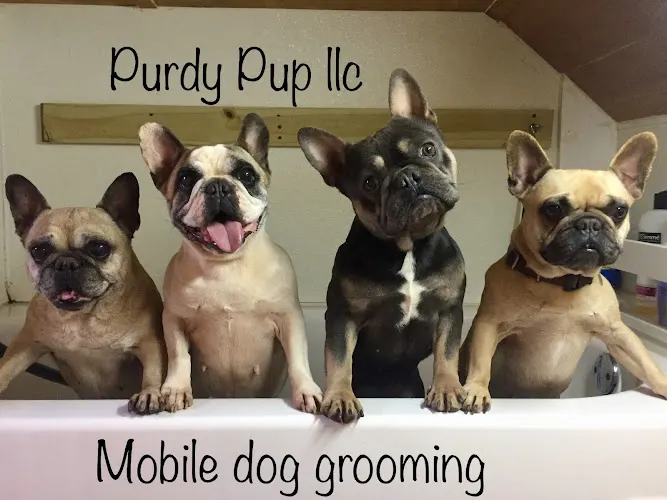 Purdy Pup LLC - Image 1