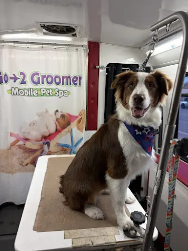 Go-2 Groomer Mobile Pet Spa - Image 1