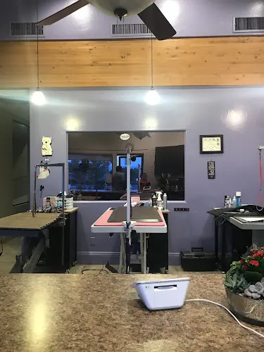 Uptown Dog Grooming - Image 1