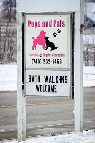 Pups and Pals Pet Care // SafeFurPlace - Image 1
