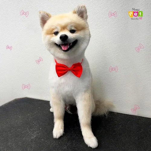 Mobile Pet Grooming Pro - Image 1