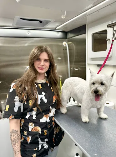 Heavenly Hounds Mobile Grooming in Jacksonville, FL