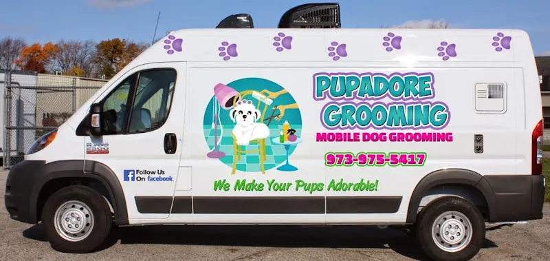 Pupadore Grooming in Randolph, NJ