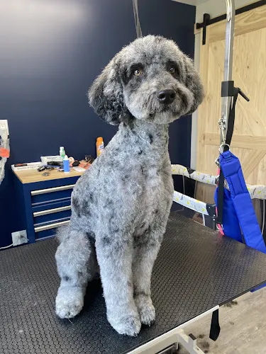 Moonstone Pet Spa - Image 1