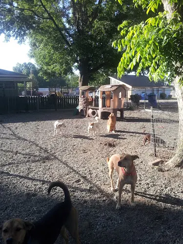 Adams Pet Spa - Image 1