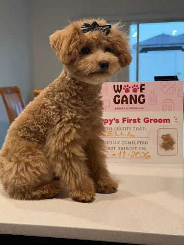 Woof Gang Bakery & Grooming Kissimmee - Image 1