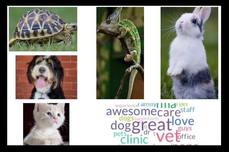 Southgate Animal Hospital - Image 1