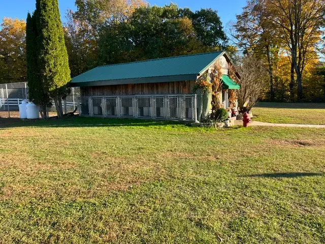 Waggy House - Dog Boarding & Dog Grooming - Image 1