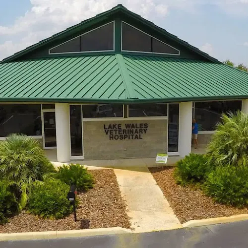 VCA Lake Wales Animal Hospital - Image 1
