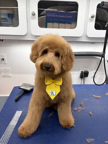 Furry Land Mobile Pet Grooming Fairfield County - Image 1