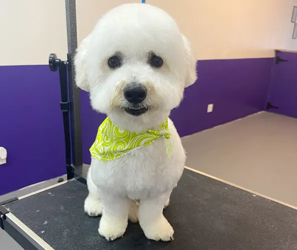 Anita’s pets grooming in Winnetka, CA