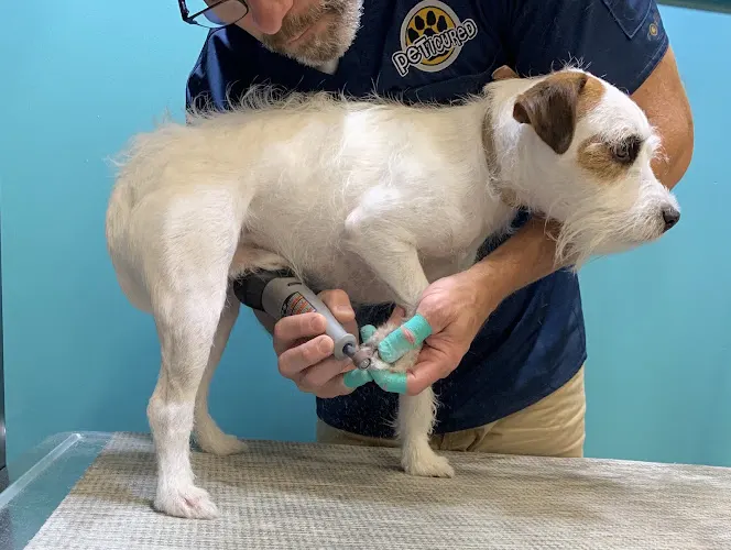 Peticured - Pet Nail Specialists - Image 1