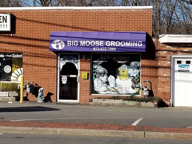 Big Moose Grooming - Image 1