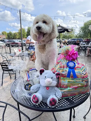 Bubbles and Bows Pet Services of Delano - Image 1