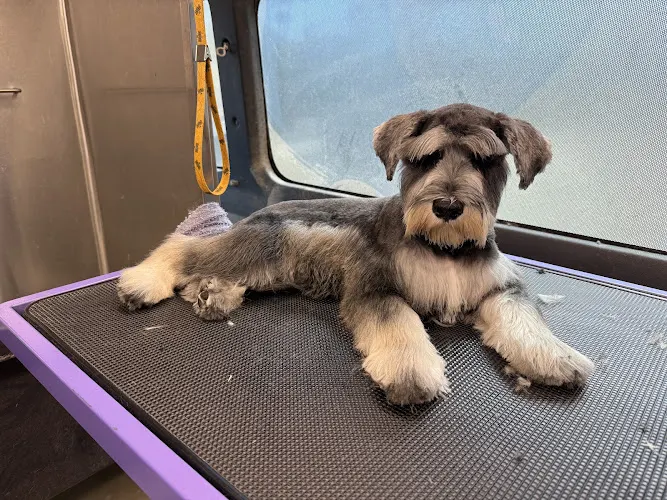 Bark Knight Mobile Grooming - Image 1