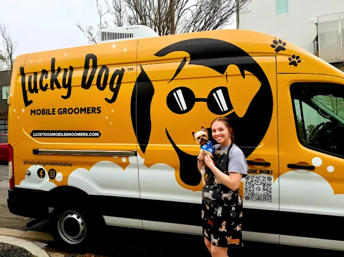 Lucky Dog Mobile Groomers - DMV - Image 1