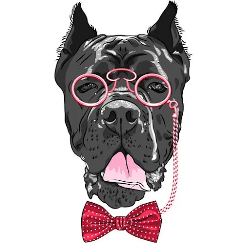 Beautifying the Beast - Grooming and Bathing - Image 1