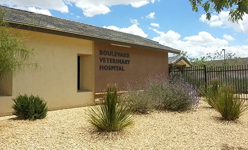 Boulevard Veterinary Hospital - Image 1