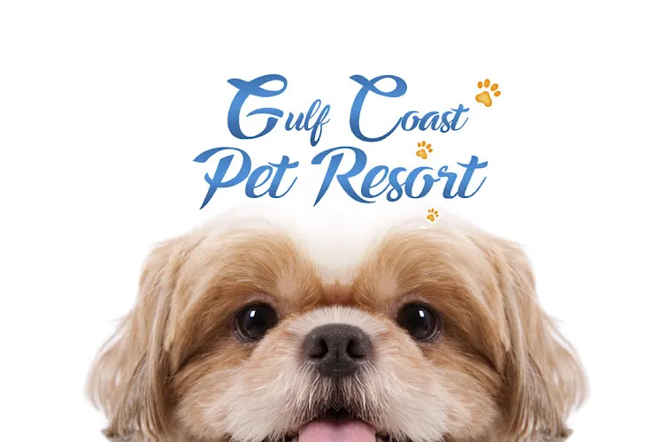Gulf Coast Pet Resort - Boarding | Grooming | Playcare - Image 1